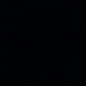 Meet your Posher, Riley